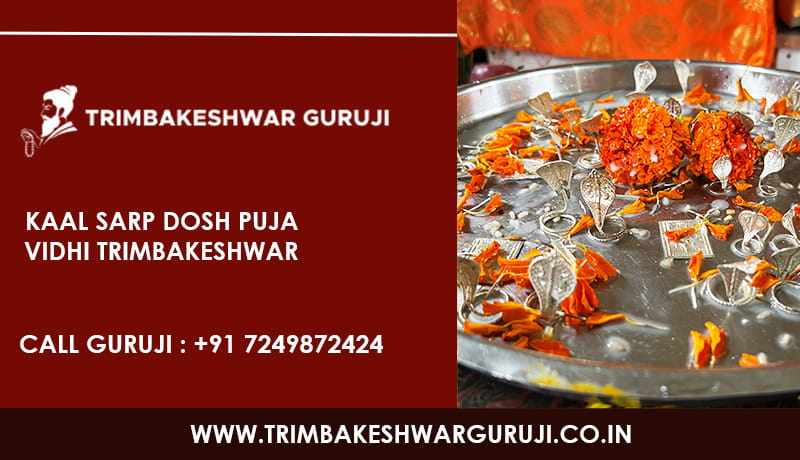 Kaal Sarp Dosh Puja Vidhi Trimbakeshwar